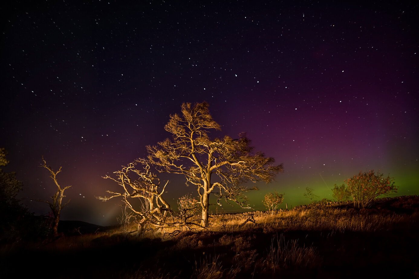 Muirshiel Park