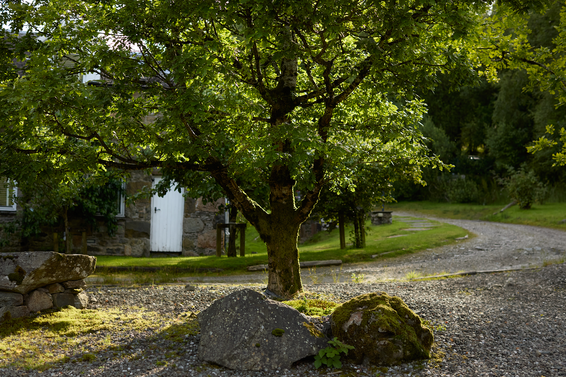 monocle mhor mhor luxury hotel boutique hotel scotland's hotel,Explore, Outdoors